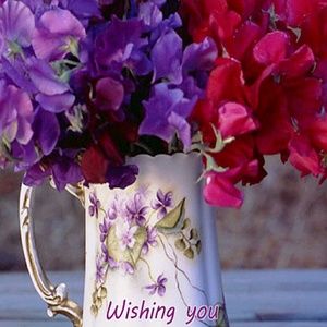 Meet your Posher, Sharon